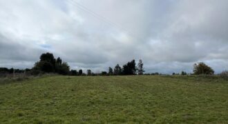 OPORTUNIDAD: PARCELA DE 5.000 m² EN SECTOR OSTIONES, LOS MUERMOS