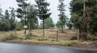 Parcela llana de 5.000 m2 en San José de Huaqui, Los Ángeles, Biobio.